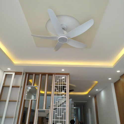 Quạt Trần 5 Cánh Benny Amore Enterno BF-C52LUX-W Quạt Trần 5 Cánh Benny Amore Enterno BF-C52LUX-W