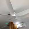 Quạt Trần 5 Cánh Benny Amore Enterno BF-C52LUX-W Quạt Trần 5 Cánh Benny Amore Enterno BF-C52LUX-W