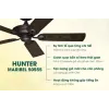 Quạt Trần 5 Cánh HUNTER MARIBEL 50555 Quạt Trần 5 Cánh HUNTER MARIBEL 50555