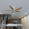 Quạt Trần 5 Cánh Luxfan GV 031 Màu Gỗ Nhạt Quạt Trần 5 Cánh Luxfan GV 031 Màu Gỗ Nhạt