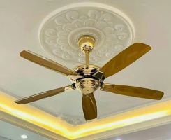 Quạt trần Panasonic F-60XDN